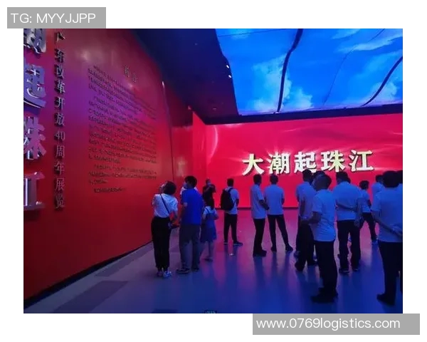 深圳排球队逆袭之旅揭示团队精神与奋斗的力量